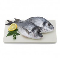 Pescetarianism: An Ethical Diet?